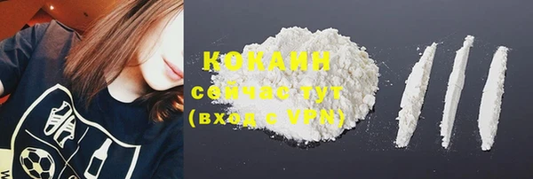 мяу мяу мука Новозыбков