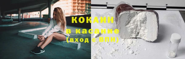крисы Новокубанск