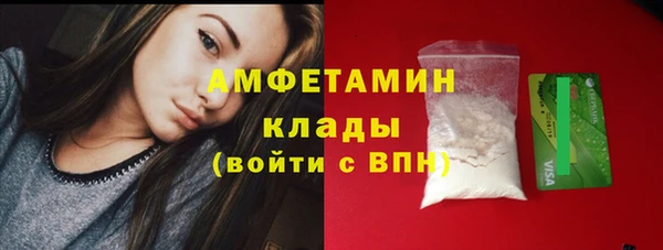 сатива Нефтекумск