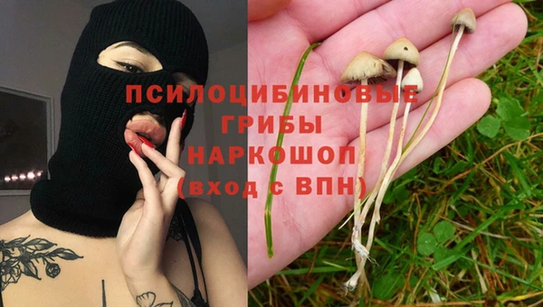 мяу мяу мука Новозыбков