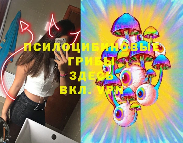 экстази Новодвинск