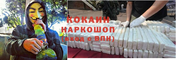 мяу мяу мука Новозыбков