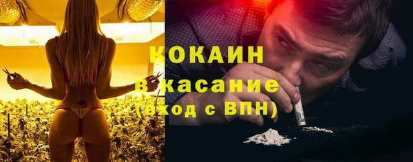 крисы Новокубанск