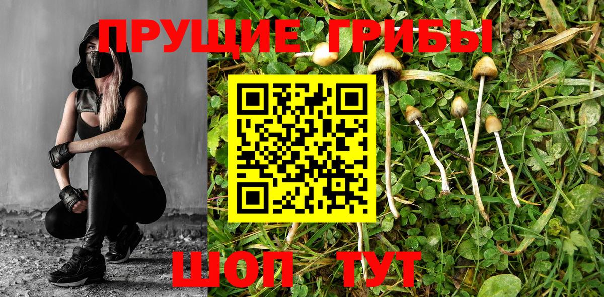 Псилоцибиновые грибы MAGIC MUSHROOMS Омск